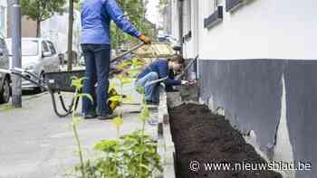 Berlaar doet opnieuw mee aan Vlaams Kampioenschap Tegelwippen: “Samen gaan we voor de hoofdprijs”