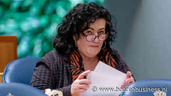 Von der Leyen inspireert Van der Plas, niet Holman