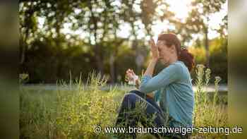 Heuschnupfen: Pharmakologe empfiehlt diese Tabletten