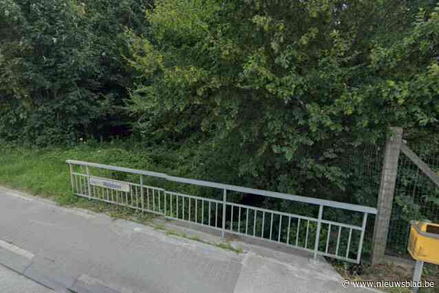 Mazoutvervuiling in de Walsbeek