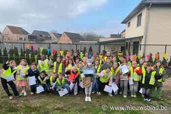 Klasgenoten verrassen zieke Milly (10) met liedje van idool: “Je bent nooit alleen”