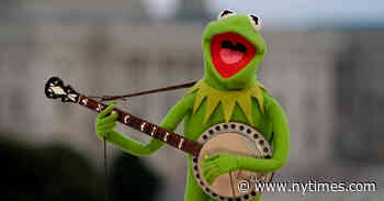 Maryland’s Kermit the Frog Commencement Choice Gets Mixed Reaction From Students