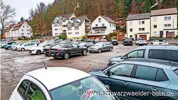 Neue Sportanlage: Grünes Licht für den Pumptrack am Nagolder Viadukt