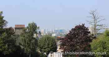 The Telegraph Hill city retreat park which helps make the area a 'best place to live'