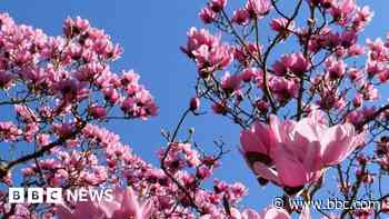 Headlines: Spring scenes and bridge closure