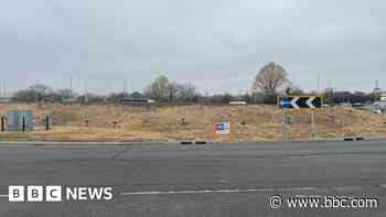 Wildflower meadow planted on busy town roundabout