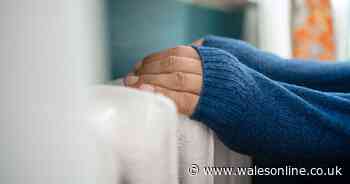 Millions of homes have poor insulation - 5 ways to stop your home leaking money and energy