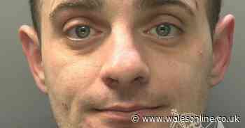 'Dangerous menace' believed partner was pregnant but pushed her down the stairs all the same