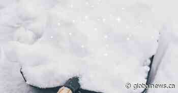 Winter returns as Winnipeg walloped by spring snowstorm