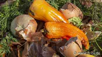 Düng-it-yourself: Dünger selbst herstellen - zwei einfache Rezepte