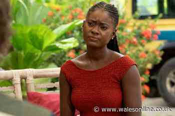 Inside Death In Paradise season 14 episode 8's guest stars as BBC gears up for grand finale