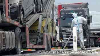 Wegen Seuche: Österreich startet Militäreinsatz an der Grenze