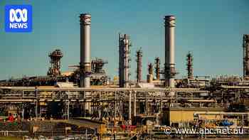 'Populist' and a 'betrayal': leading gas expert lets rip on Dutton plan