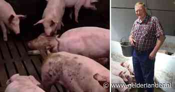 Activisten filmen dierenmishandeling, maar stoppen beelden toch niet in hun shockdocu: zo zit het