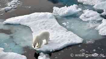 Nasa mit dramatischer Meldung aus Arktis und Antarktis – „Das verheißt nichts Gutes“
