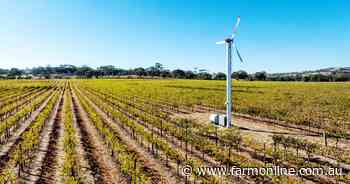 Australian wine market heats up with multi-million dollar vineyard listings