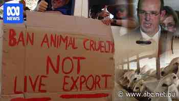 Cattle industry set for 'all guns blazing' live export ban compo fight