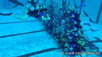 Duikschool Aronnax vormt onderwaterpiramide met 77 duikers: “Wachten op oordeel van Guinness World Records”