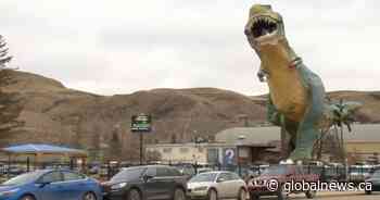 Fight on in southern Alberta to save Tyra the mega-popular tourist-luring dinosaur