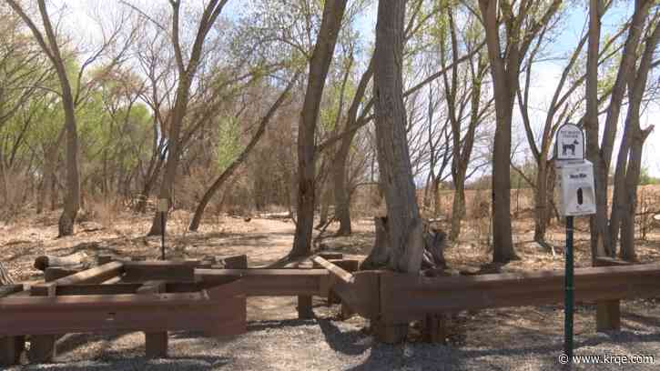 City starts first Bosque improvement project on parking lot and open space on Central