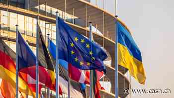 EU-Parlamentarier: Europa könnte US-Internetriesen ins Visier nehmen