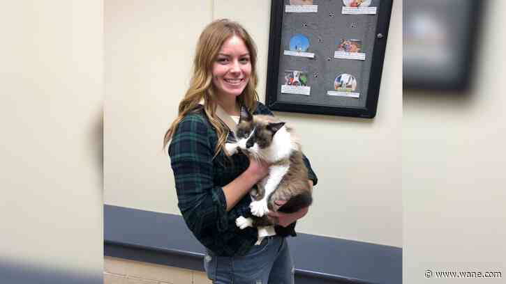 Cat and owner reunite after two years, thanks to a microchip