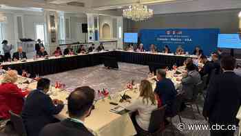 Regina mayor joins counterparts from across North America in D.C. to call for end of trade war