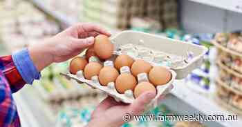 'Psychological shift': Are empty supermarket shelves opening consumers' eyes?