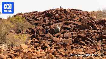 Federal government to view rock art report before approving gas project