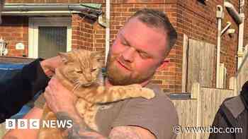 Cuddles for Tigger after 24-hour tree rescue