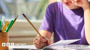 Many children unsuitably home-schooled - council