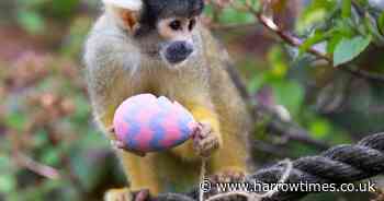 Adorable animals are on London Zoo's Easter egg trail