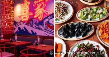 I tried an east London Chinese restaurant where the speciality is dumplings
