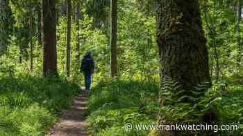 Kom achter je bureau vandaan: de beste ideeën ontstaan buiten de deur