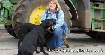 Farmers take on PM with toys for weapons