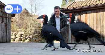 160 Jahre Erlebnis-Zoo Hannover: Das sagt Zoo-Chef über moderne Tierhaltung
