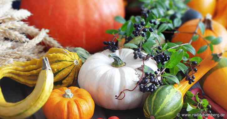 Kürbiskönig gesucht – Kürbissamen in Altendorf jetzt abholen!