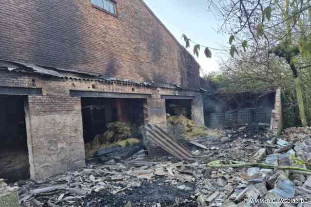 Leegstaande loods uitgebrand: “Vermoedelijk brandstichting”