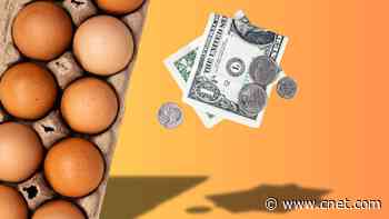 Tax Refund? I Can Afford a Carton of Eggs With Mine