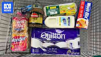 Labor commits to outlaw supermarket price gouging if re-elected