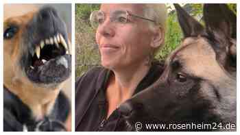 „Beißmaschinen“ an die kurze Leine oder besser „Eignungstest für Menschen“?