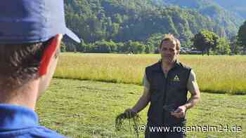 Tradition unter Druck: Heimische Bauern fordern Klarheit beim Almauftrieb nach Österreich