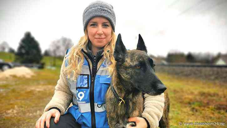 Was tun, wenn der Hund wegläuft? „Wir nennen es die Klappstuhl-Methode“