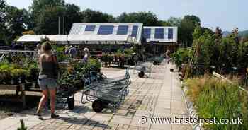 Garden centres in and around Bristol to visit this summer