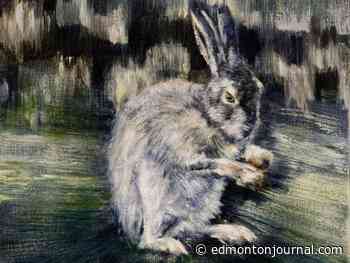 Three to See Edmonton Events: Gale & McClelland, Kane Brown at Rogers, and McCauley rink event snow-delayed