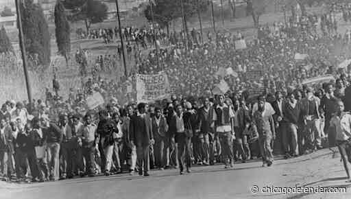 What is apartheid? New book for young readers explains South Africa’s racist system