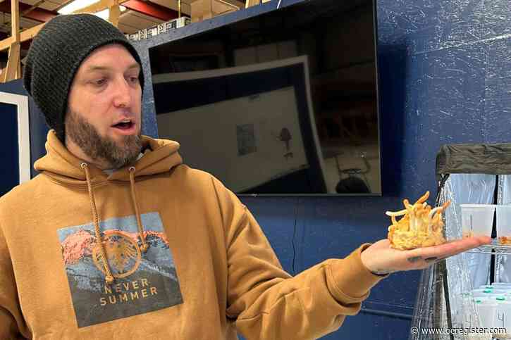 The Colorado psychedelic mushroom experiment has arrived