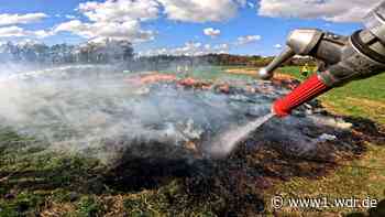 Deutschlands einzige EU-Waldbrand-Einheit übt in Bonn 