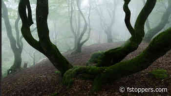 Simple Lightroom Techniques That Transform Your Photos