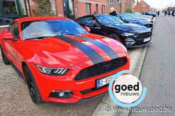 Nieuwe vereniging voor Mustang-liefhebbers trapt af met bloesemrit